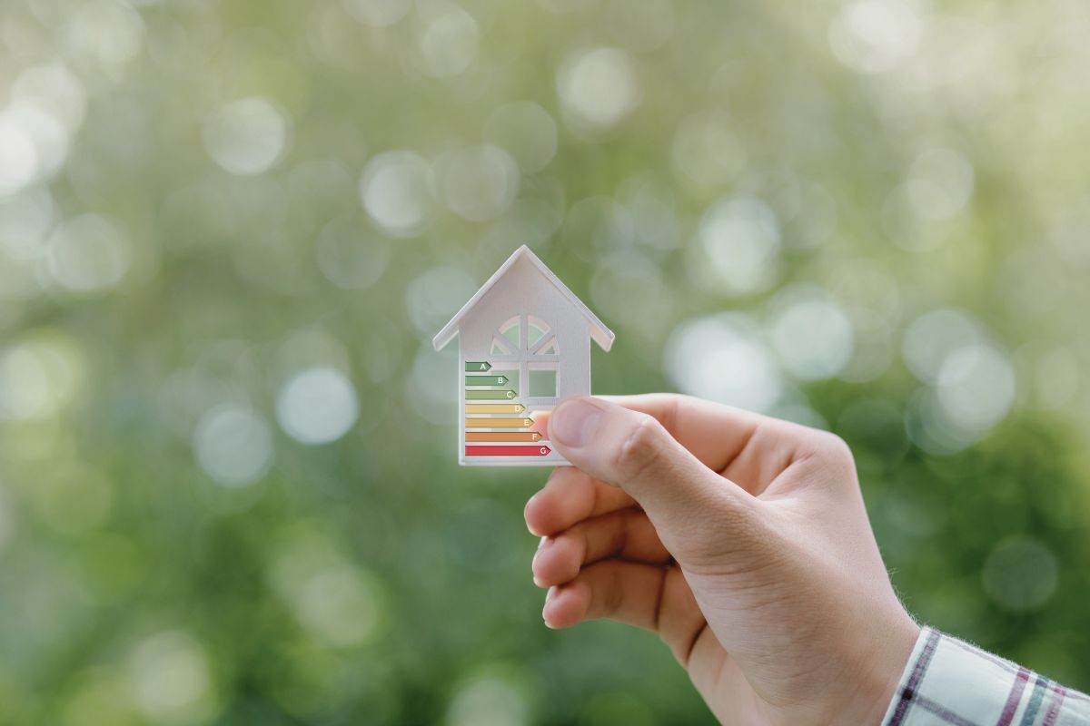 Green Living On A Budget